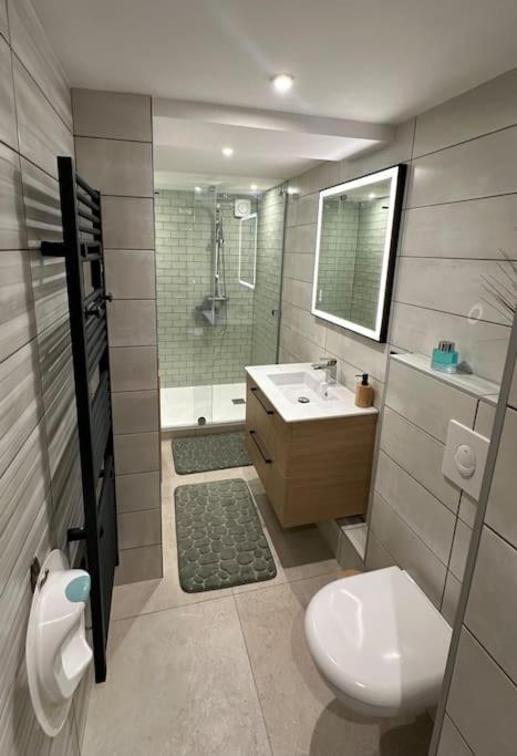 Le Briand Appartement 4Etoiles Nancy Thermal Cosy Avec Terrasse Wifi מראה חיצוני תמונה